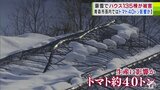 “記録的な大雪”の影響で青森県内のビニールハウス135棟に被害　トマト生産が盛んな孫内地区では40トン分の栽培に影響の可能性も…「初めての降り方だった…」　青森県青森市　|　青森のニュース│ATV NEWS│青森テレビ