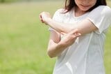 「台風で雨が多くなると数が増える」今年は秋も要注意!この夏、日本に“蚊”が少なかったワケ | 静岡のニュース | SBSNEWS | 静岡放送