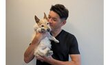 【いぬ】照英さん 愛犬テン19歳8ヶ月 「気持ち良さそうにスヤスヤ」 寝姿ショットに反響 「安眠テンちゃん どんな夢を見てるかな♥」|TBS NEWS DIG