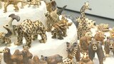 個性あふれるデザインや色使いの100点を展示 22人の障がい者アート展 | 大分のニュース|OBS NEWS|大分放送