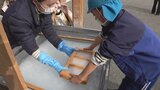 「上手にできました」　保育園児が町の伝統産業の手すき和紙づくりを体験　山梨・市川三郷町|TBS NEWS DIG