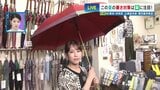 リュックも濡れない傘の「正解サイズ」知ってる？　遮熱＆遮光で"猛暑も乗り切る"賢い傘選び　|　熊本のニュース｜RKK NEWS｜RKK熊本放送