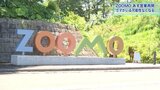 「自ら外に出たと判断」 野生のクマ侵入で休園の盛岡市動物公園ZOOMO 10日営業再開へ|TBS NEWS DIG