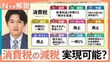 “消費税の減税”で暮らしどうなる…各党公約の実現可能性は？税収減で社会保障は？【Nスタ解説】【選挙の日、そのまえに。】|TBS NEWS DIG