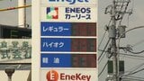【ガソリン値上げ】北海道ガソリン価格 過去最高の190円に「ガソリン入れないと車は走れない…」給油客も嘆き　政府は19日から補助金再開⇒170円程度に抑制へ|TBS NEWS DIG