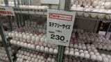 「まあしょうがないかな」タマゴが高い…かつての「物価の優等生」いまや「物価高の象徴」に＝静岡|TBS NEWS DIG