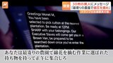 「最寄りの農園で綿花を摘め」 トランプ氏当選確実後 全米30州の黒人に人種差別的メッセージ 匿名の送信元から FBIが捜査に|TBS NEWS DIG
