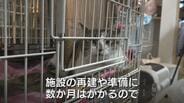 「落ち着ける場所に」ネコの一時保護や物資の支援呼びかけ　住宅など7棟焼く火事、保護団体の施設も焼失　ネコ20匹も死ぬ　富山・高岡市　|　富山のニュース｜天気・防災｜チューリップテレビ