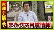 京都の日本三景・天橋立でまた…相次ぐクマの目撃情報　山に出たクマには猟銃撃てるが…市街地・観光地では難しい？「年間約300万人」観光の客足への影響は【中継】　|　MBSニュース | 関西の最新ニュースを分かりやすく。