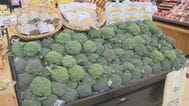 ブロッコリーが「指定野菜」に　52年ぶり、食卓の強い味方へ　プロ直伝の“タイパ”レシピ紹介　|　大分のニュース｜OBS NEWS｜大分放送