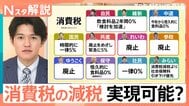 “消費税の減税”で暮らしどうなる…各党公約の実現可能性は？税収減で社会保障は？【Nスタ解説】【選挙の日、そのまえに。】|TBS NEWS DIG