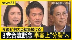 結党わずか7か月で“分裂”へ… 中道・立憲・公明の3党が合流断念　その背景と多弱野党の今後は？【news23】| TBS CROSS DIG with Bloomberg