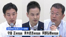 衆議院で与党過半数に達する見通し　元維新3人が自民会派入りで調整|TBS NEWS DIG