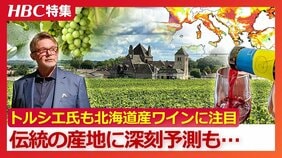 名将トルシエ氏もYOSHIKI氏も“北海道産ワイン”に大注目 なぜ道内各地にワイナリーが急増?「ワイン産地の約55%が失われる」ヨーロッパ伝統の産地には深刻な未来予測が…|TBS NEWS DIG