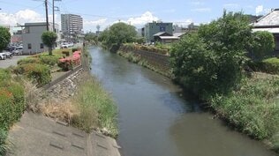 「いざ起きたときの対応をあらかじめイメージをしておくことが大事」風水害から身を守る 台風6号接近で高まるリスク 新しい防災気象情報を活用し"自分で避難する"意識を【わたしの防災】 | 静岡のニュース | SBSNEWS | 静岡放送
