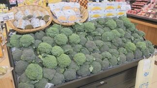 ブロッコリーが「指定野菜」に 52年ぶり、食卓の強い味方へ プロ直伝の“タイパ”レシピ紹介 | 大分のニュース|OBS NEWS|大分放送