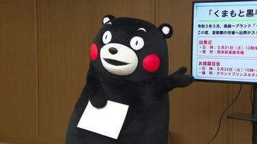 ジュノン スーパーボーイ コンテスト 挑戦中のくまモンが運命の２次審査に 結果は 熊本のニュース Rkk熊本放送 フォトギャラリー