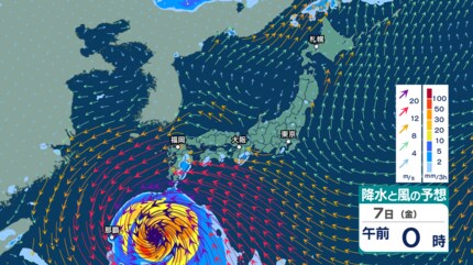 hazu　雨月18個 hazu 雨月18個 hazu 雨月18個 hazu 雨月18個 hazu 雨月18個 hazu様専用