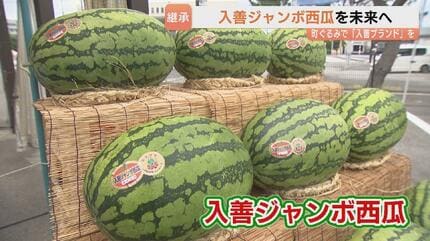重さ30kg超え！入善ジャンボ西瓜…生産者は半世紀で4分の1に「玉数を