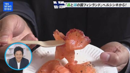 北欧フィンランドの首都ヘルシンキってどんなところ？さあ、一緒に街を