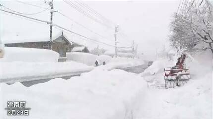 積雪4メートルの町にも「待ちに待った春」 新潟・津南町 | 新潟の
