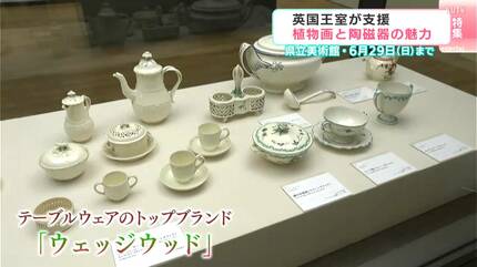 三越発売 定価5.8万◆1817年 英国 Edwards筆 ボタニカルアート 三越発売 定価5.8万◇1817年 英国 Edwards筆 ボタニカルアート