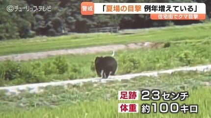 体重約100キロか クマ相次ぎ目撃 夏場も出没に「例年より増加」 住宅