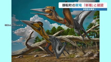 大きな一歩」熊本で発見 “新属・新種の翼竜” 研究チームが