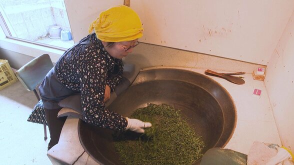 蒸さずに“炒る”本匠「因尾茶」　全国わずか1％未満…希少な製法「釜炒り」を守る人々　|　大分のニュース｜OBS NEWS｜大分放送