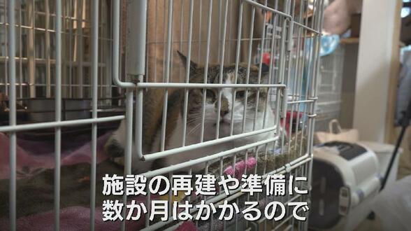 「落ち着ける場所に」ネコの一時保護や物資の支援呼びかけ　住宅など7棟焼く火事、保護団体の施設も焼失　ネコ20匹も死ぬ　富山・高岡市　|　富山のニュース｜天気・防災｜チューリップテレビ