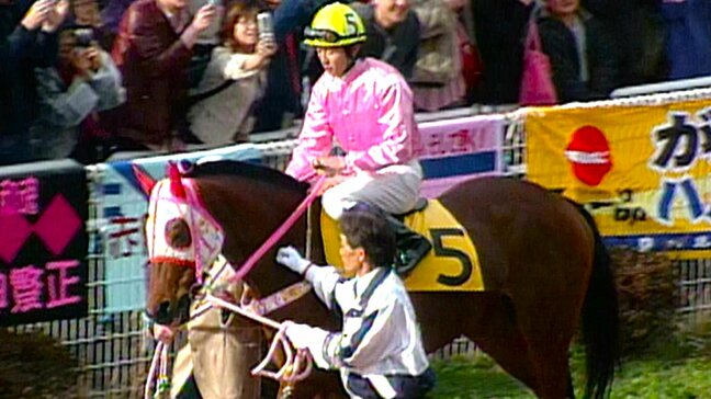 負け組の星「ハルウララ」の連敗記録“113”が破られる 佐賀競馬の「パドマーワト」が0勝114敗に|TBS NEWS DIG
