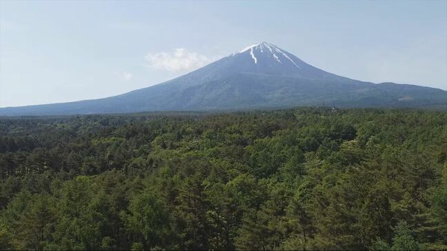 青木ヶ原樹海で迷う キノコ狩りの男性を救助 1人で樹海に入って約10分後に迷う|TBS NEWS DIG