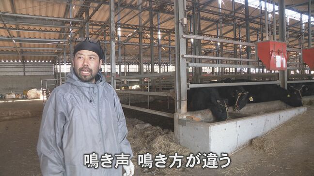 「なりわい支援に待ったなし」経済支える能登の一次産業のいま、これから|TBS NEWS DIG