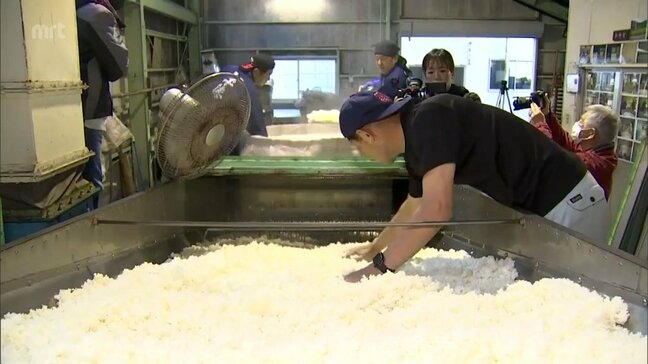 延岡市にある清酒専門の蔵元　新酒の仕込みが本格化|TBS NEWS DIG