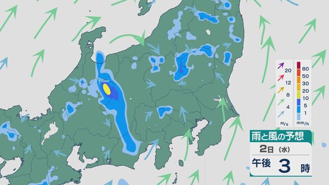 東日本は2日(水)から3日(木)にかけ“急な雷雨”のおそれ 関東では24時間予想雨量が100ミリのところも 大雨による土砂災害などに注意・警戒を 雨と風シミュレーション|TBS NEWS DIG