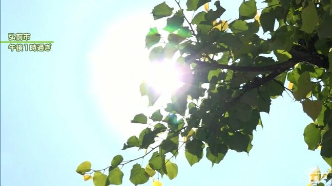 30℃超の「真夏日」となったところも 青森県内10地点で今年最高の気温を観測 10日も最高気温30℃予想のところが…|TBS NEWS DIG