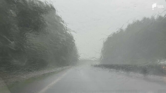 【台風情報】静岡県内で400ミリの雨か...ダブル台風が静岡県でも猛威をふるう可能性 週末にかけて交通機関に影響が出る恐れも|TBS NEWS DIG