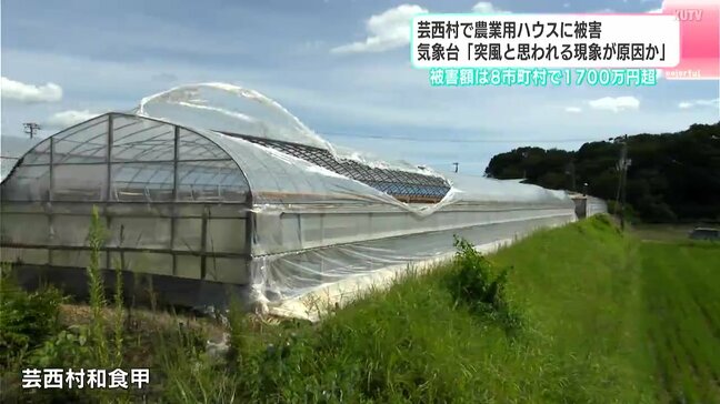 気象台「突風と思われる現象が原因か」芸西村で農業用ハウスに被害 被害額は8市町村で1700万円超(高知)|TBS NEWS DIG