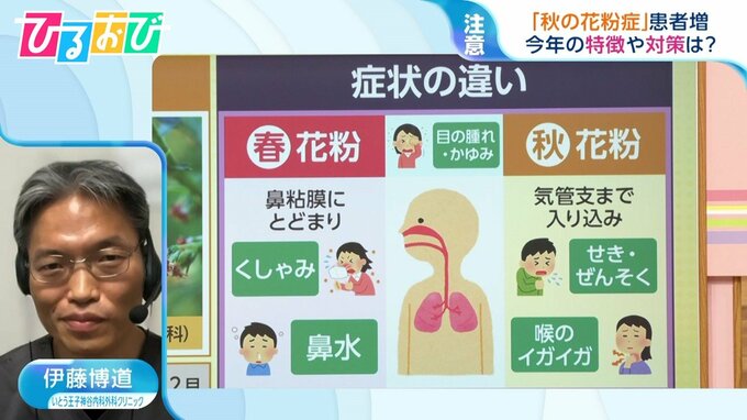 今年は多い？風邪に似た『秋の花粉症』 対策のカギは“飛散距離” 春との症状の違いを医師に聞く【ひるおび】|TBS NEWS DIG