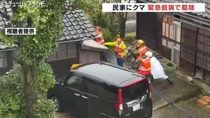 「私のところでよかった」早朝の物置にクマ…砺波市が初の緊急銃猟を許可、駆除　人的被害なし　富山　|　富山のニュース｜天気・防災｜チューリップテレビ