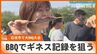 「お母さんの飯よりめっちゃ旨い」同時BBQのギネス記録に挑戦　使う肉は「石垣島産黒毛和牛」メキシコの世界記録更新へ　|　沖縄のニュース｜RBC 琉球放送