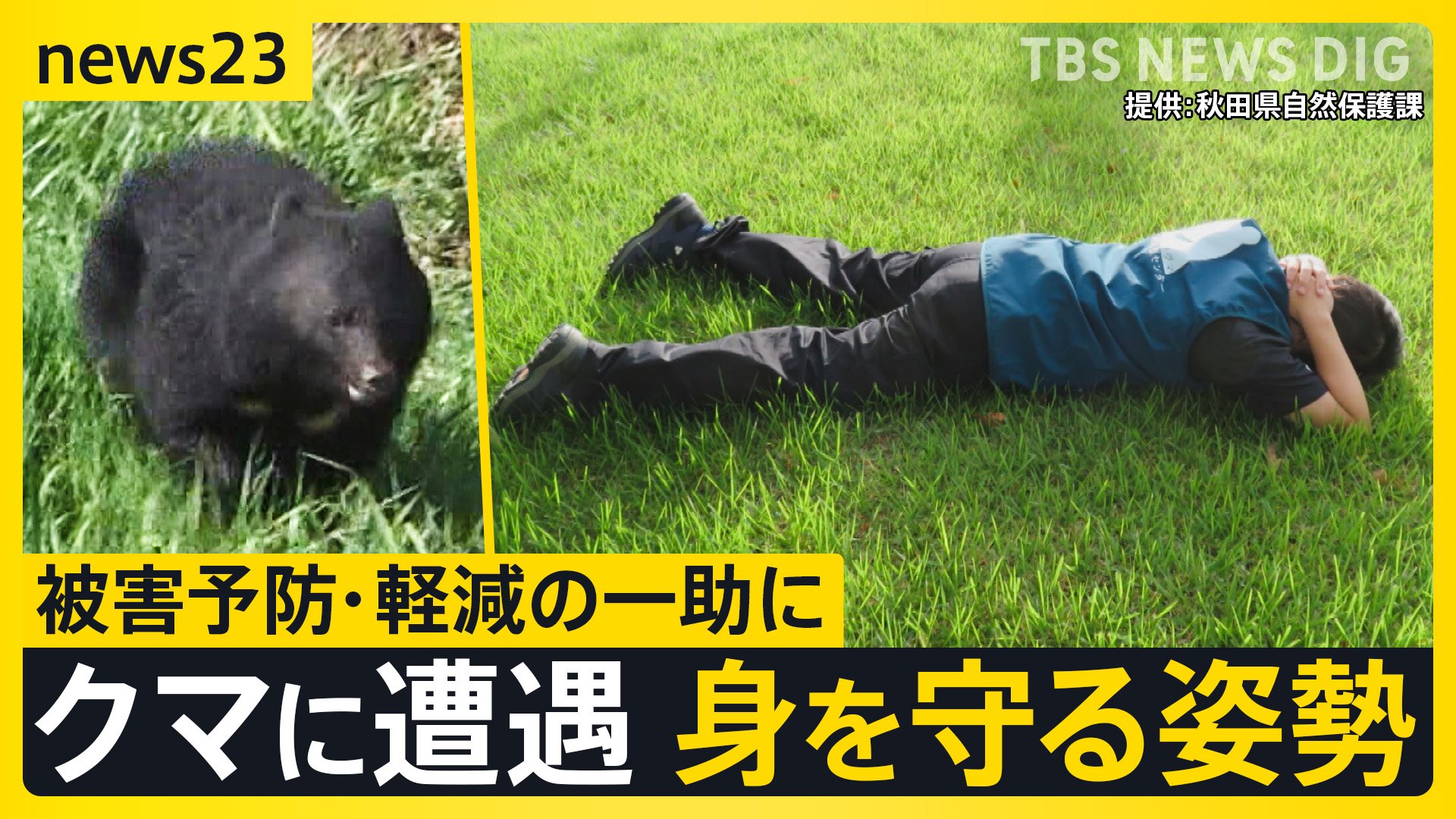 深刻化する“クマ害”「国民の命守れない」秋田県が自衛隊派遣を要請