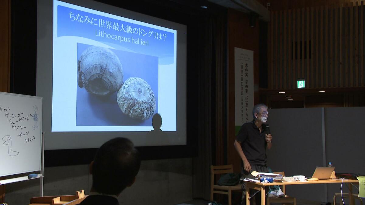 日本のリスは実はドングリを食べない？「ゲッチョ先生」を講師に牧野植物園で「果実」と「種子」をテーマにしたトークイベント【高知】