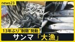 「黒潮大蛇行」が終息…日本の漁場への影響は? サンマ「大漁」で13年ぶり“制限”発動 “海の砂漠化”で名産・アワビに危機も【news23】|TBS NEWS DIG