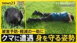 深刻化する“クマ害”「国民の命守れない」秋田県が自衛隊派遣を要請　もしクマと至近距離で出会ったら？被害を軽減する“ある姿勢”とは【news23】|TBS NEWS DIG