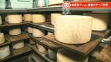 チーズ好きにおすすめ 大分県内チーズ料理の人気店 | 大分のニュース|OBS NEWS|大分放送
