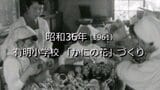 有明小学校「かにの花」づくり【昭和36年・1961】~RKKニュースミュージアム~ | 熊本のニュース|RKK NEWS|RKK熊本放送