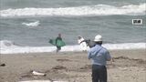 警報が出たら一刻も早く、高い場所へ逃げよう　サーファーらが海岸で津波避難訓練|TBS NEWS DIG