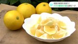 白いワタ「アルベド」も一緒に食べる柑橘“小夏”の出荷ピーク　ウイスキー漬けもおすすめ|TBS NEWS DIG