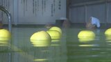 「心が洗われる」 冬至を前に温泉施設でゆず湯 愛媛では14の観測地点で今シーズン1番の冷え込み | 愛媛のニュース - Nスタえひめ|あいテレビは6チャンネル